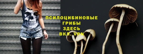 ALPHA PVP Армянск