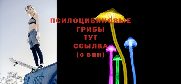 PSILOCYBIN Арсеньев