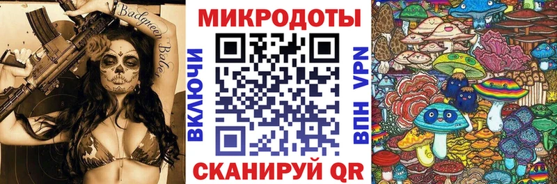 купить наркотики сайты  Славск  Галлюциногенные грибы Magic Shrooms 
