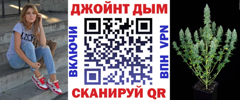 мега как зайти  Славск  Марихуана индика 